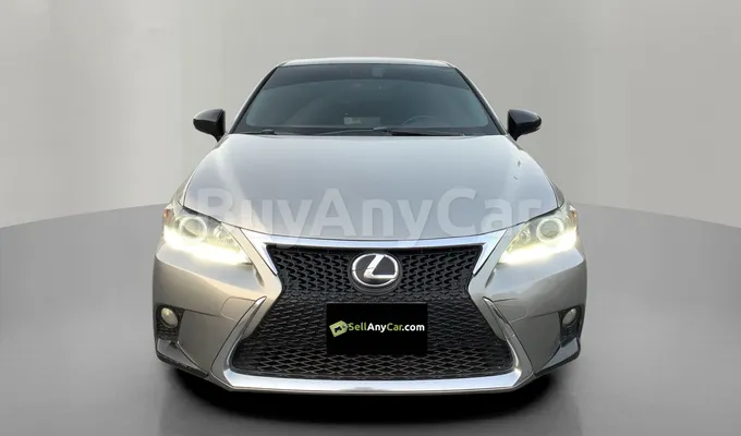 carsDetail