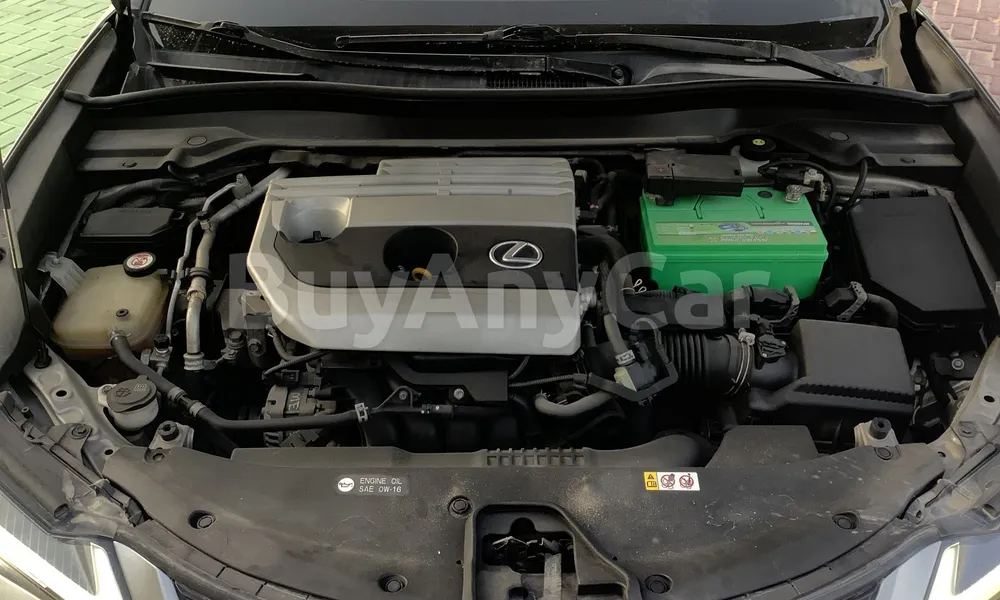 Vehicle photo 6