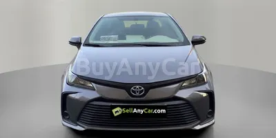 carsDetail