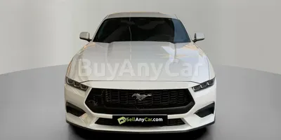carsDetail