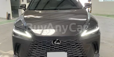 carsDetail