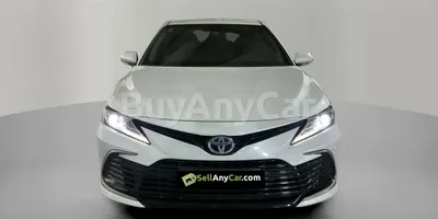 carsDetail