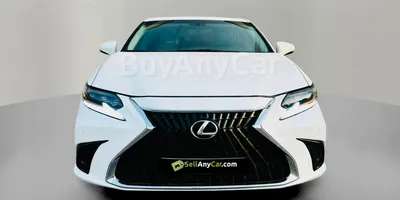 carsDetail