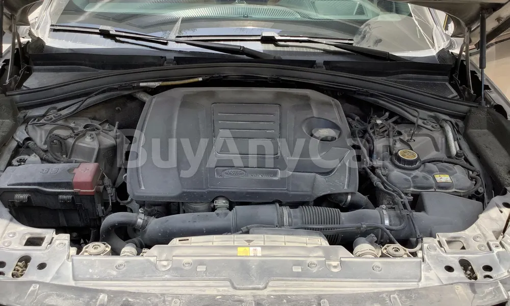 Vehicle photo 7