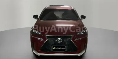 carsDetail