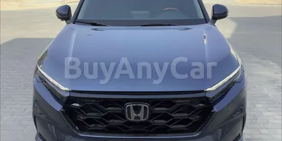 carsDetail
