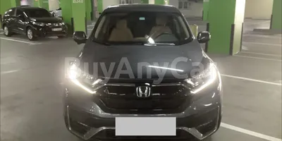 carsDetail