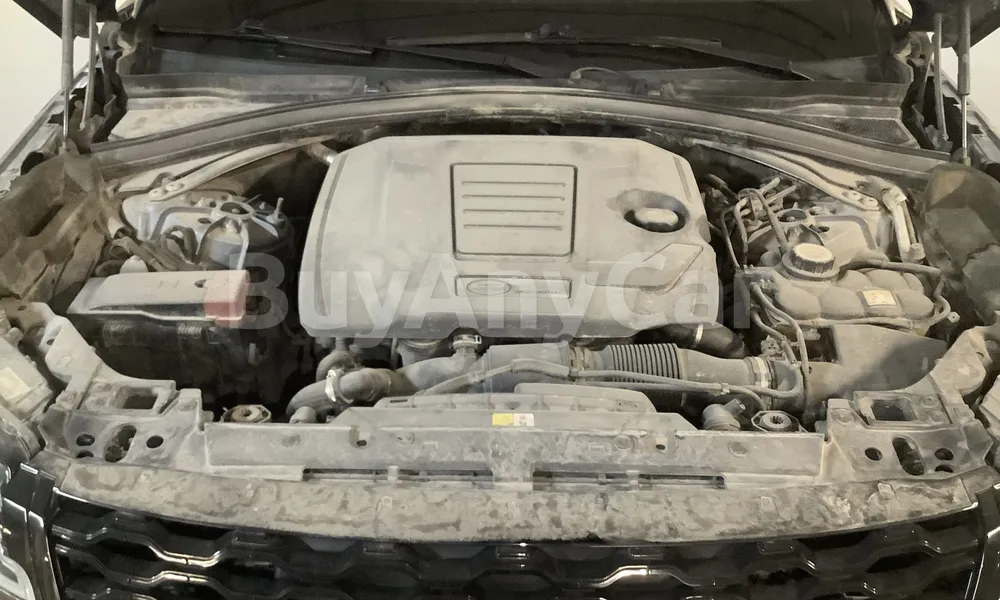 Vehicle photo 7