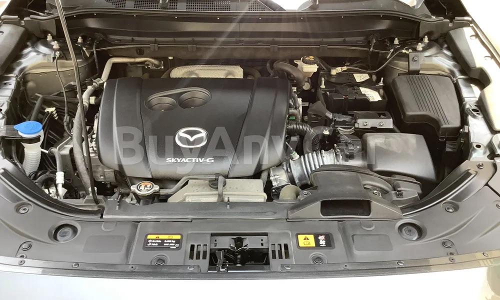 Vehicle photo 5