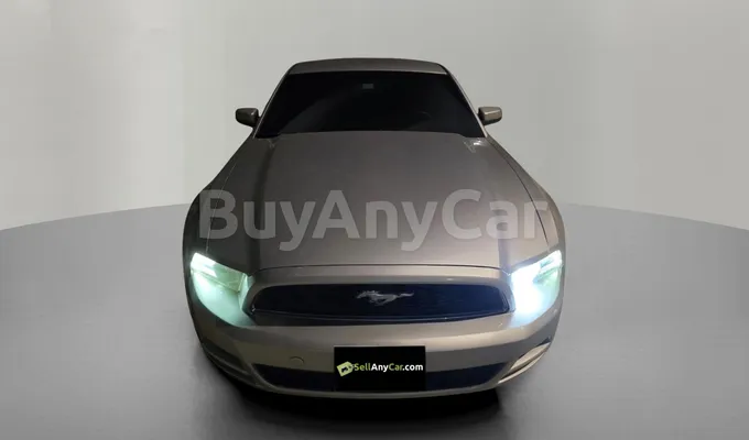carsDetail