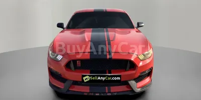 carsDetail