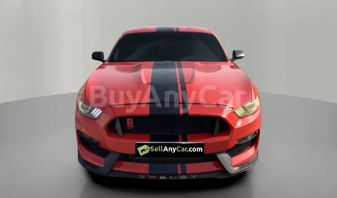 carsDetail