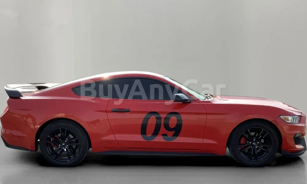 Vehicle photo 4
