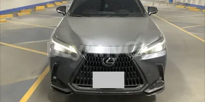 carsDetail