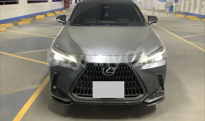 carsDetail