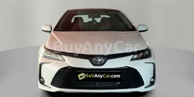 carsDetail
