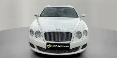 carsDetail