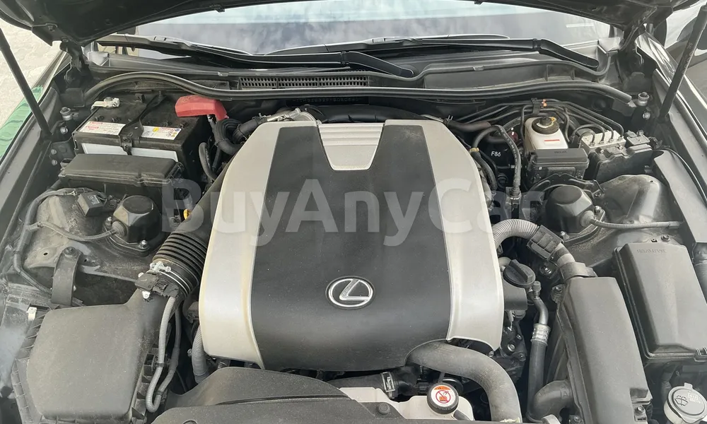 Vehicle photo 7
