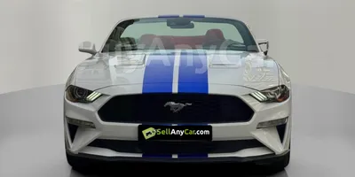carsDetail