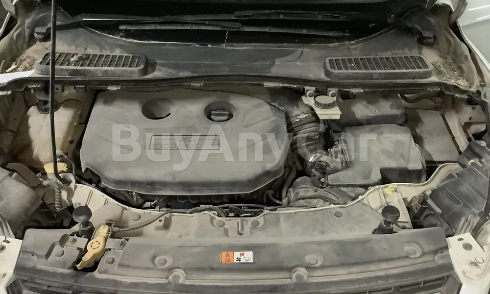 Vehicle photo 6