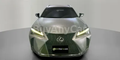 carsDetail