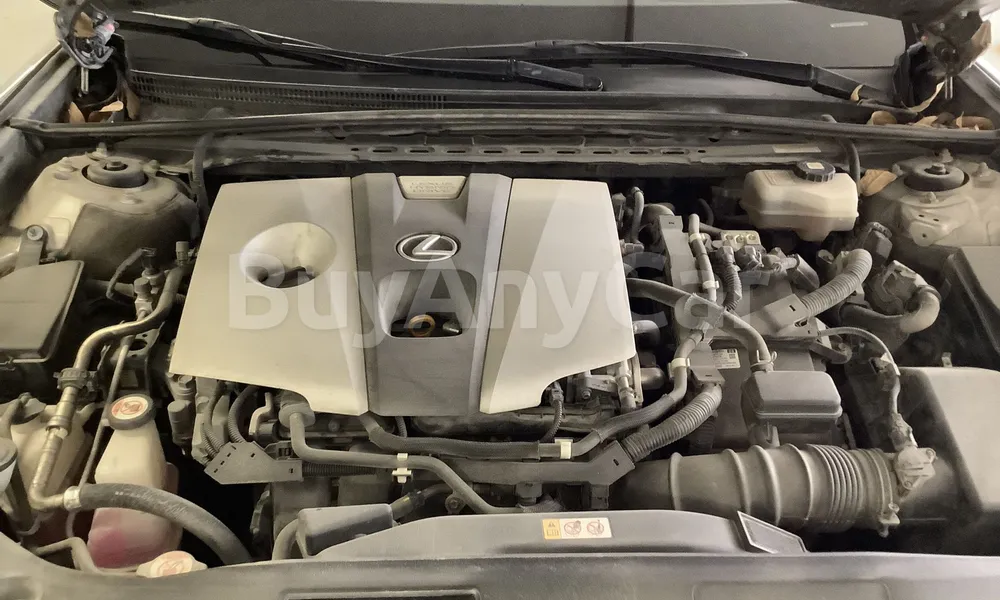 Vehicle photo 6