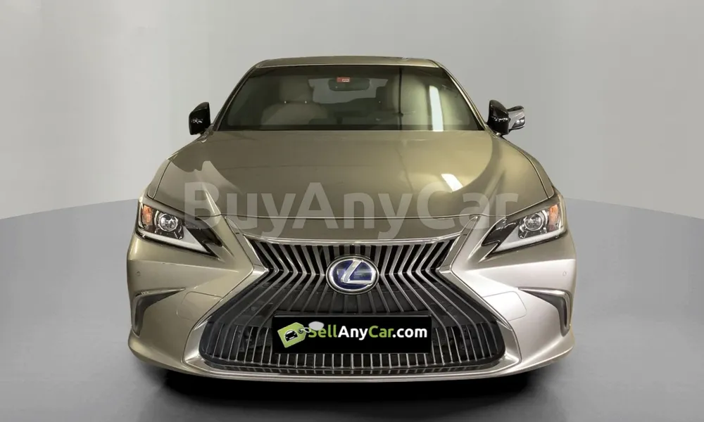Vehicle photo 1