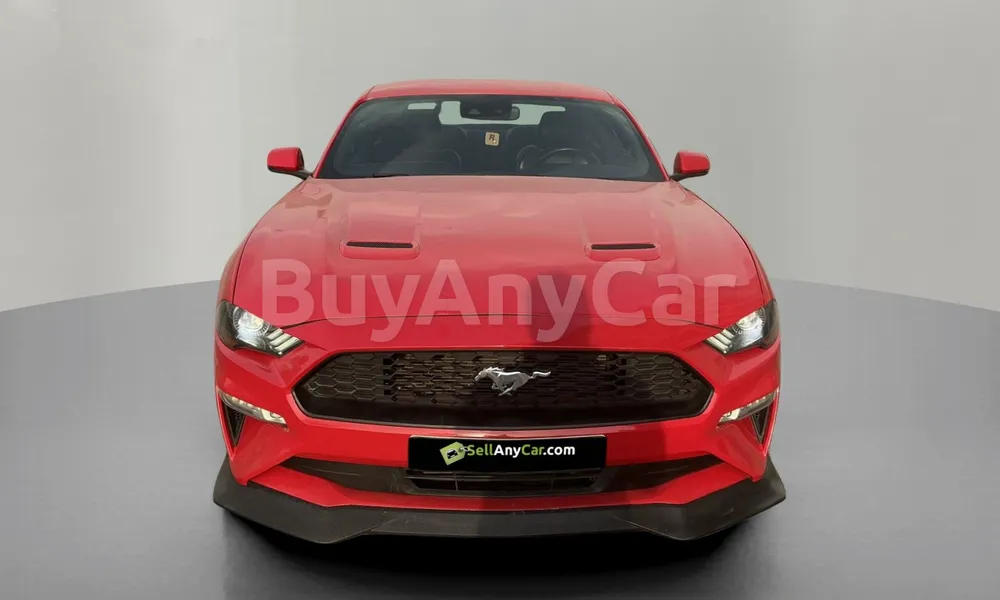 Vehicle photo 1