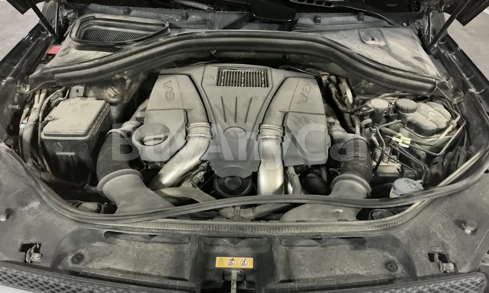 Vehicle photo 5