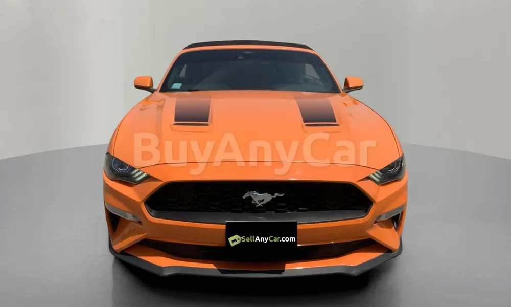 Vehicle photo 1