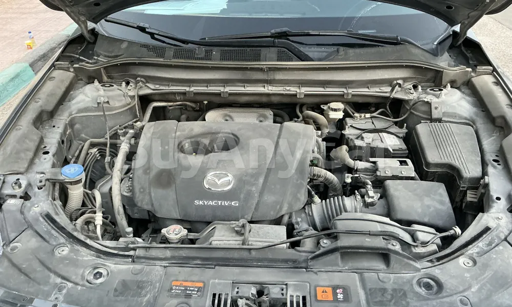 Vehicle photo 6