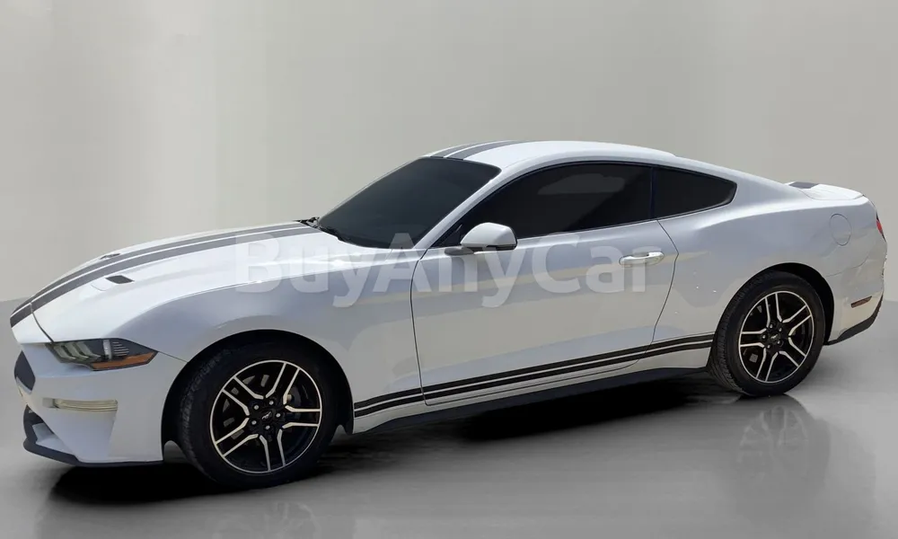 Vehicle photo 4
