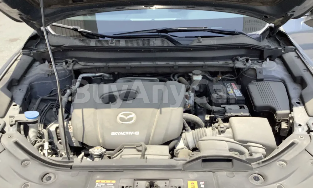 Vehicle photo 6