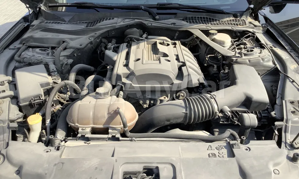 Vehicle photo 5