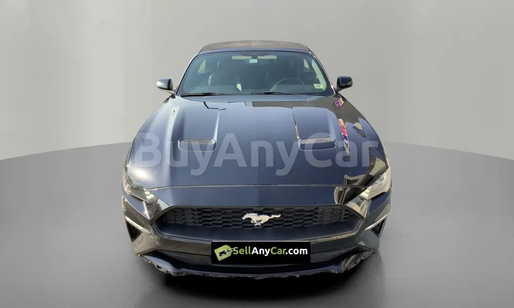 Vehicle photo 1