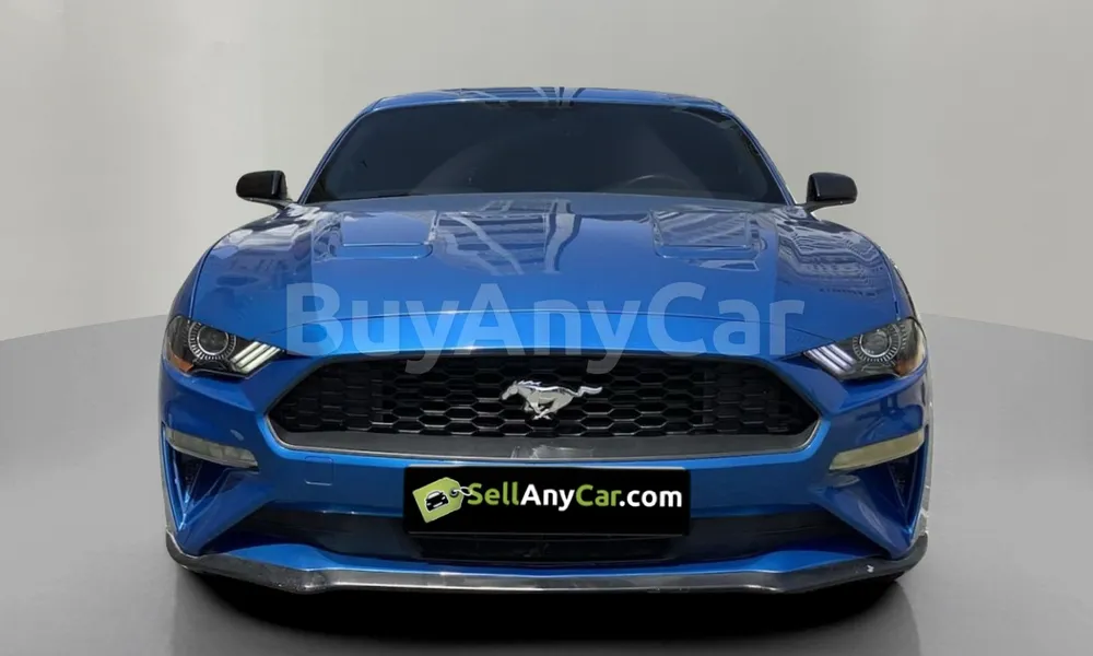 Vehicle photo 1