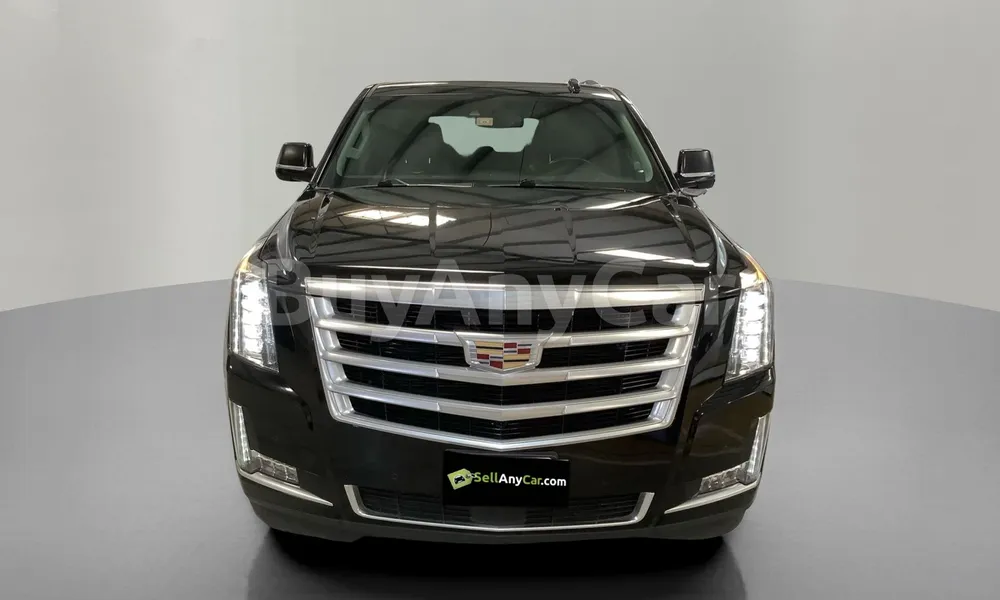 Vehicle photo 1