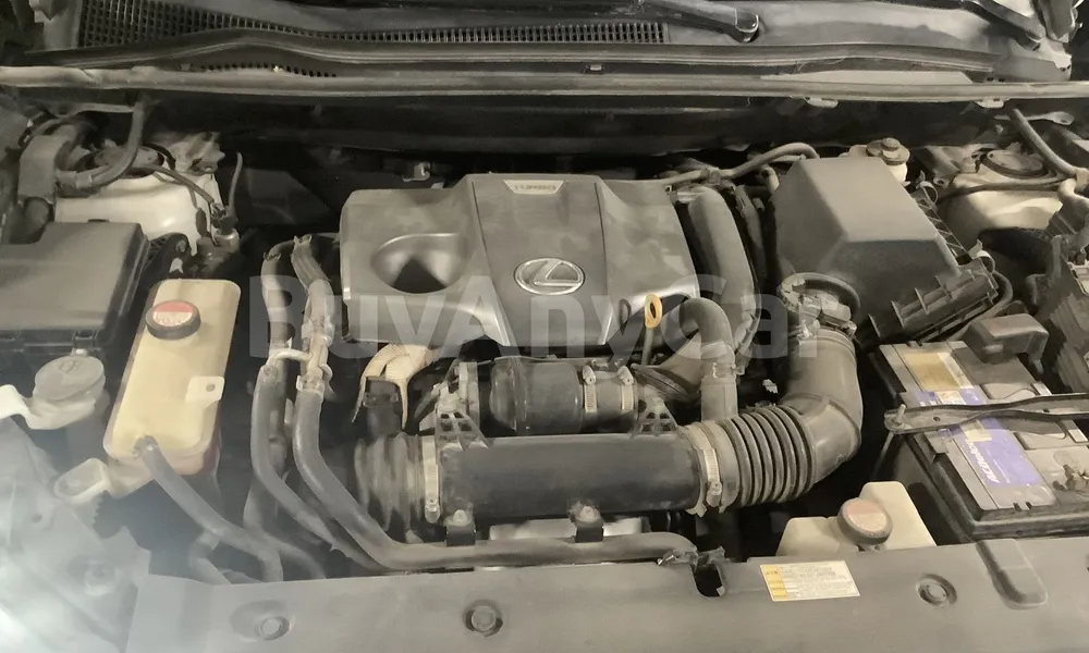 Vehicle photo 6