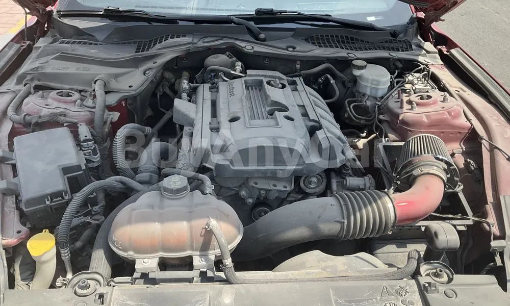 Vehicle photo 7