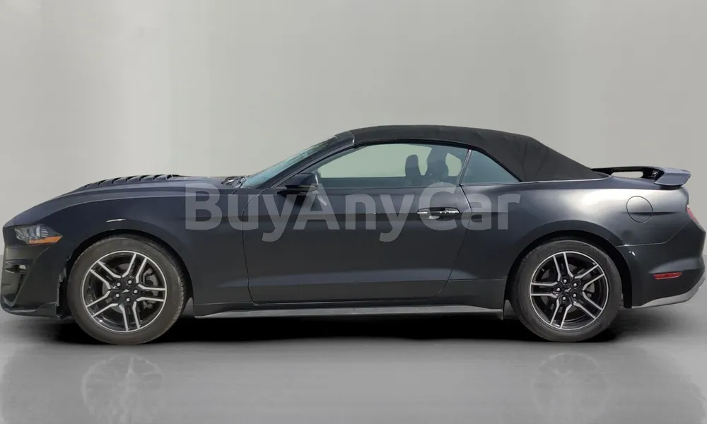 Vehicle photo 4