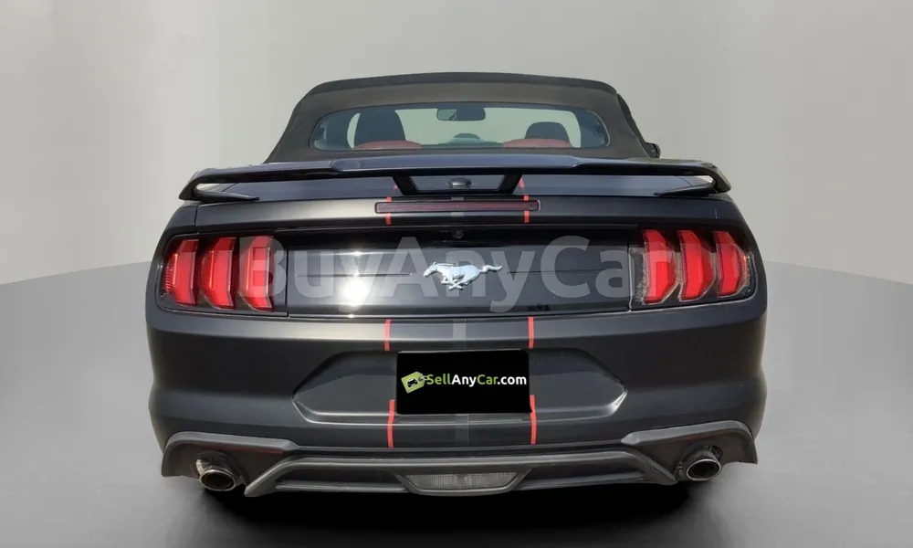 Vehicle photo 2