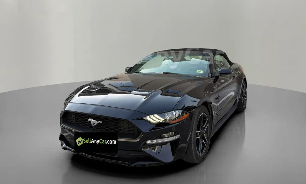 Vehicle photo 1