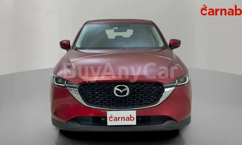 Vehicle photo 1
