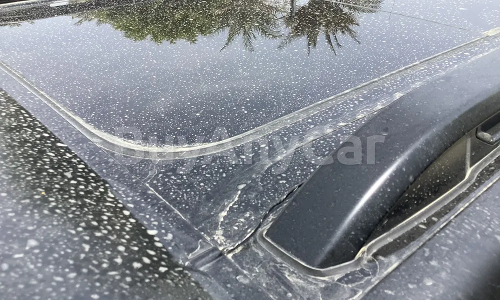 Vehicle photo 8