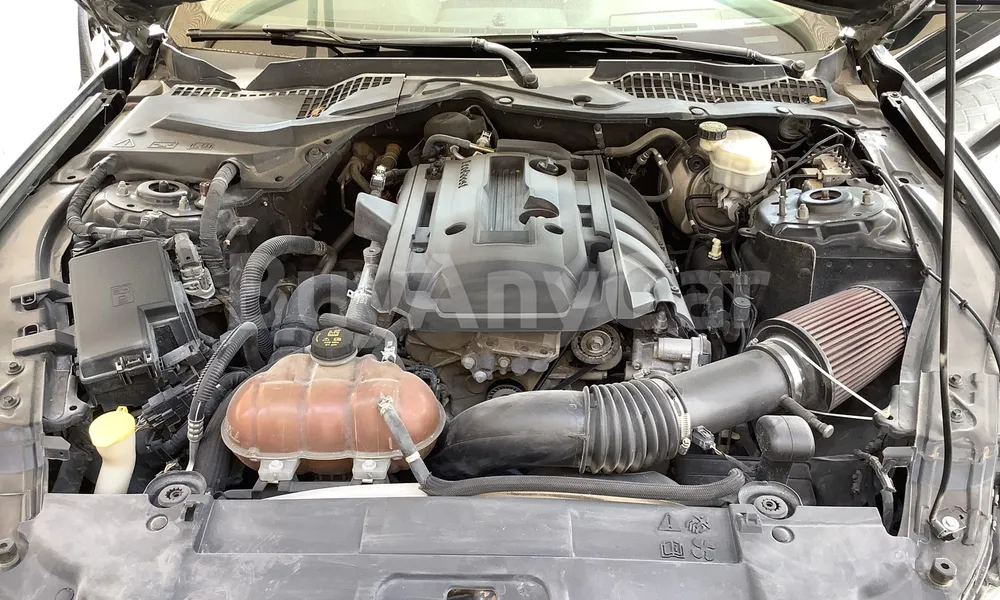 Vehicle photo 5
