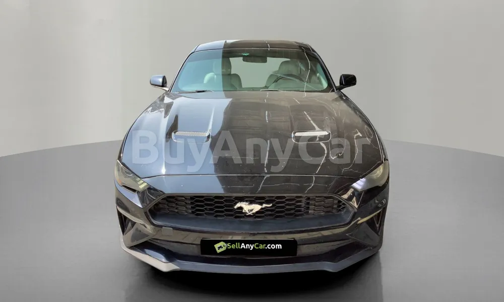 Vehicle photo 1