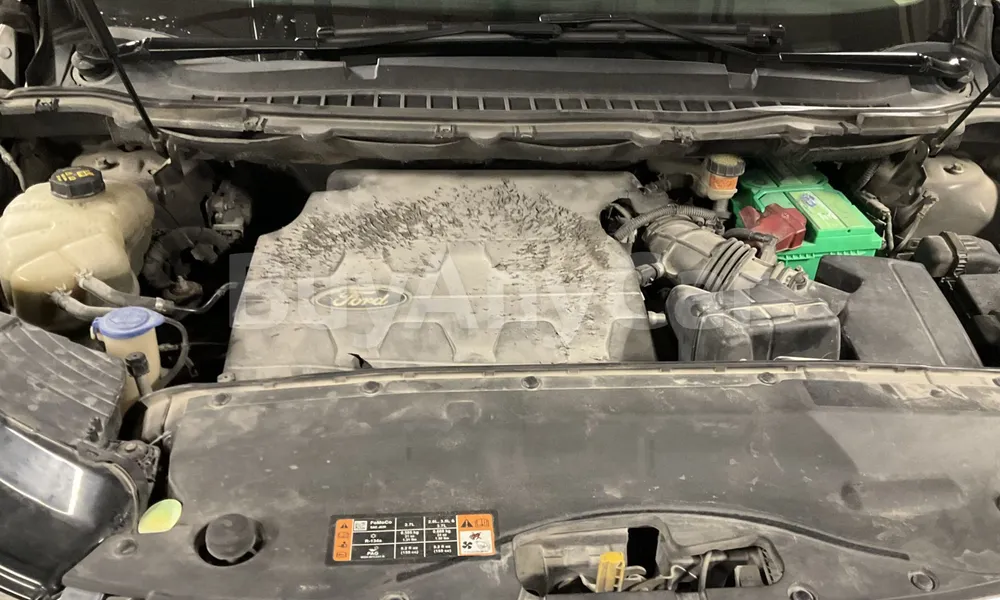 Vehicle photo 7