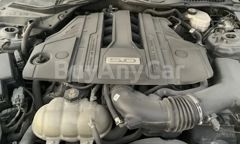 Vehicle photo 6
