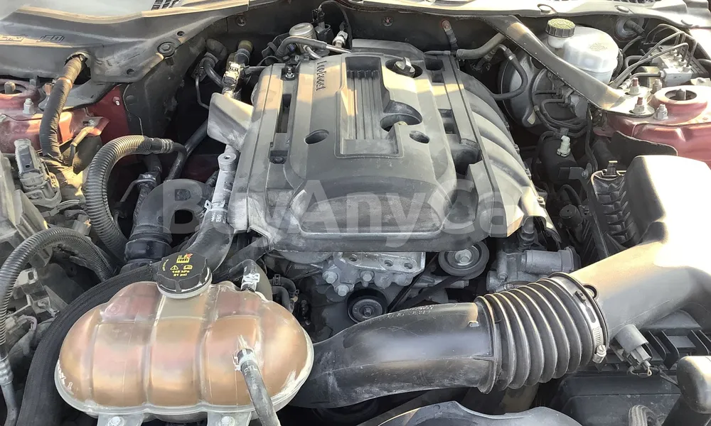 Vehicle photo 7