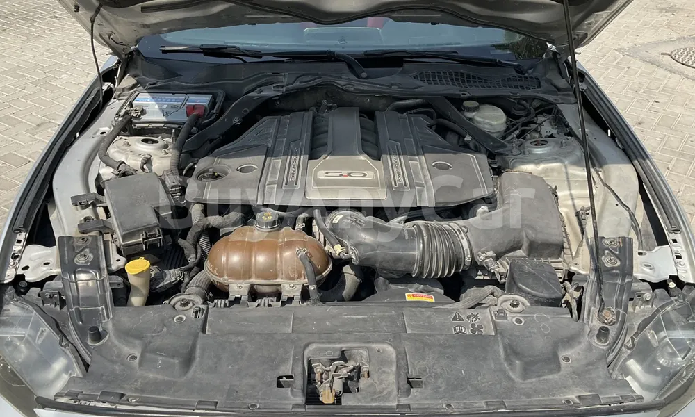 Vehicle photo 5
